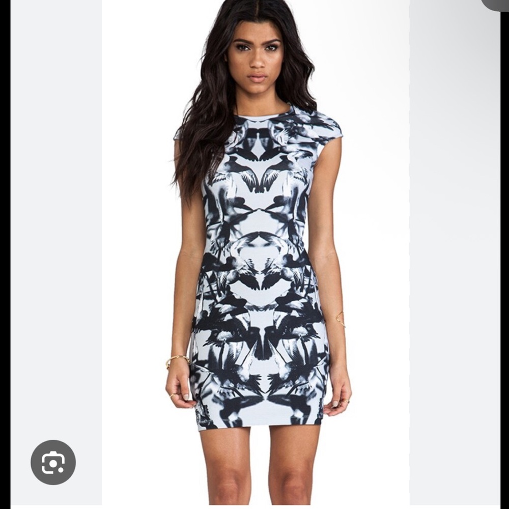 Alexander McQueen Dress